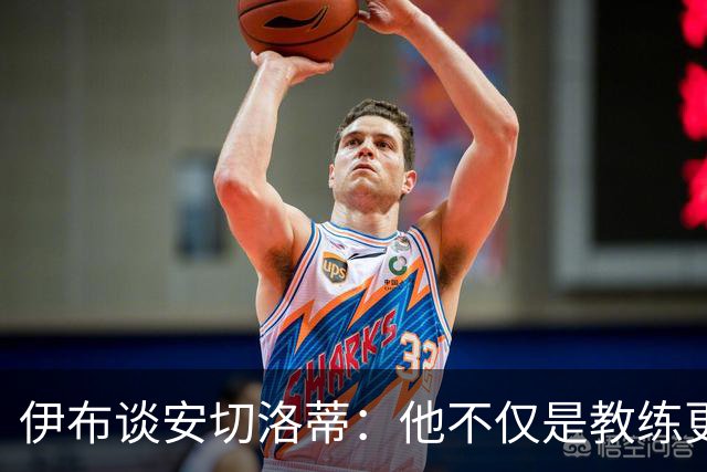 伊布谈安切洛蒂：他不仅是教练更是管理者 执教巴西对他是挑战